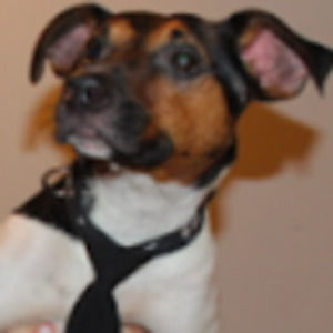 Meet your Posher, Tylar